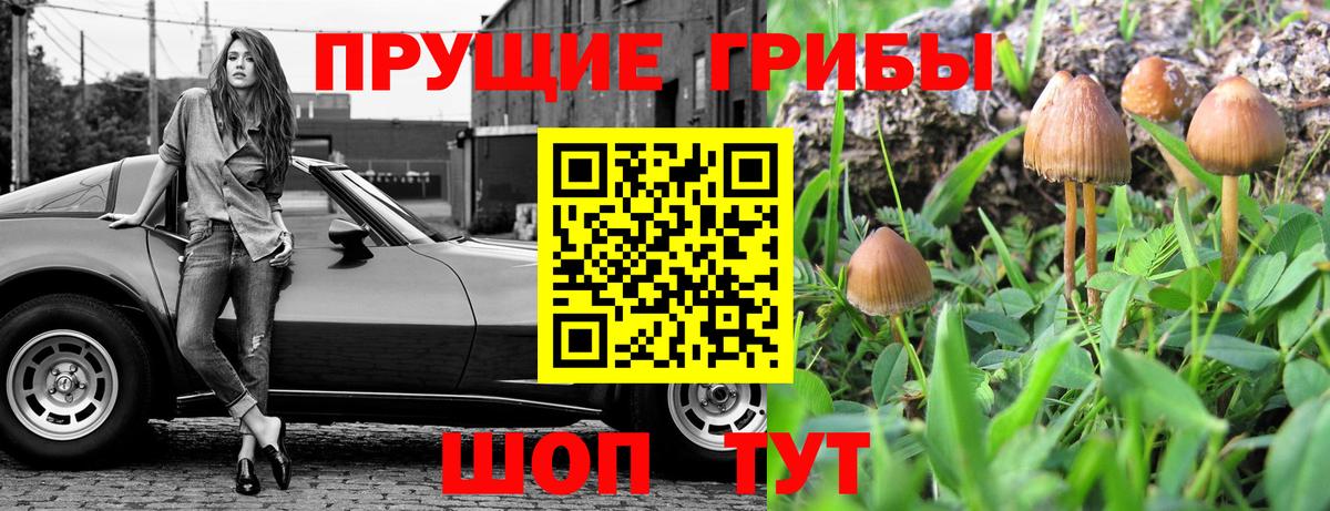Крымск  магазин    Вход с VPN  Галлюциногенные грибы ЛСД 