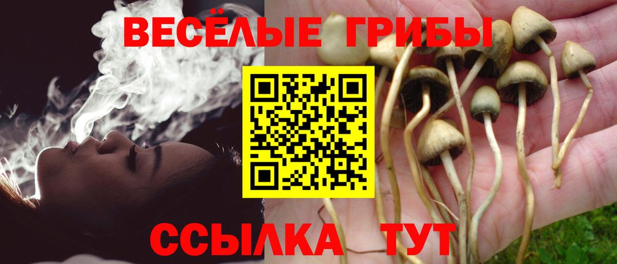 Галлюциногенные грибы MAGIC MUSHROOMS Крымск